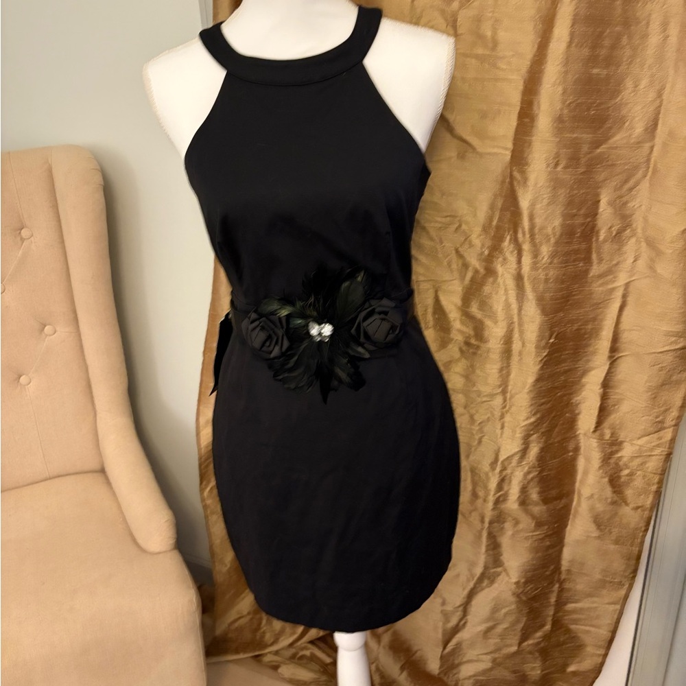 Elegant Black Dress with feather  Accent belt